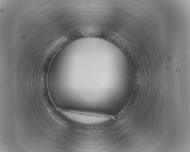 X0000070420690200606302101