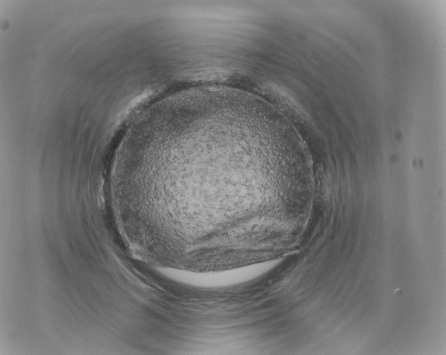 X0000070420692200606302101