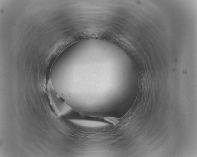 X0000070420693200606302101