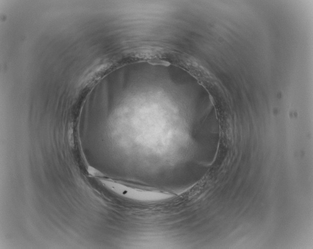 X0000070420696200606302101