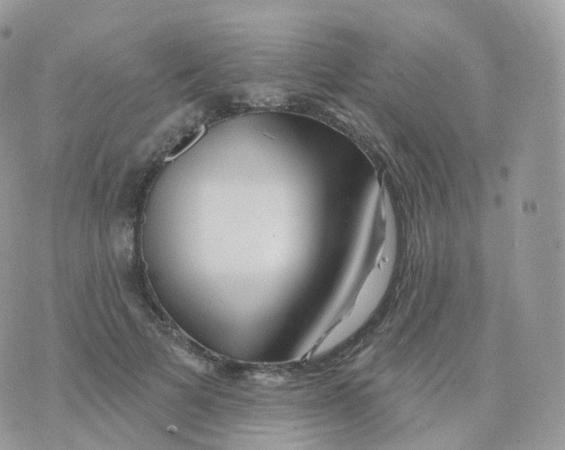 X0000070420697200606302101