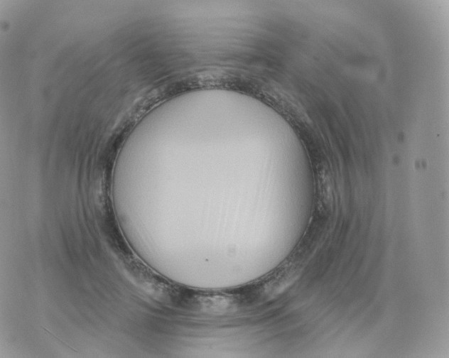 X0000070420698200606302101