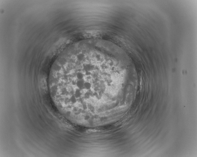 X0000070420699200606302101