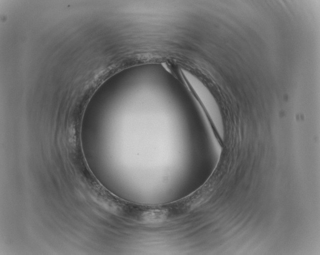 X0000070420700200606302101