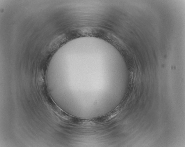 X0000070420702200606302101