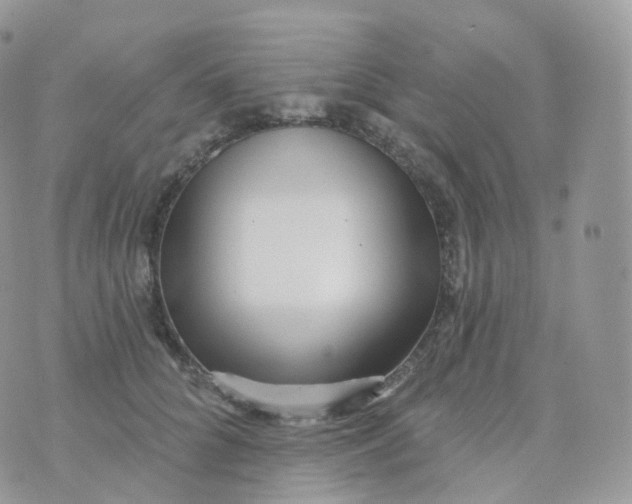 X0000070420704200606302101