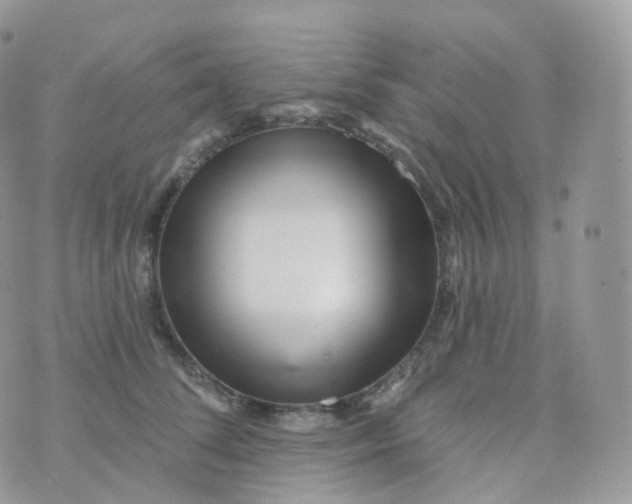 X0000070420708200606302101