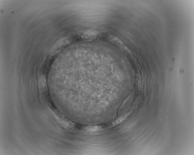 X0000070420711200606302101