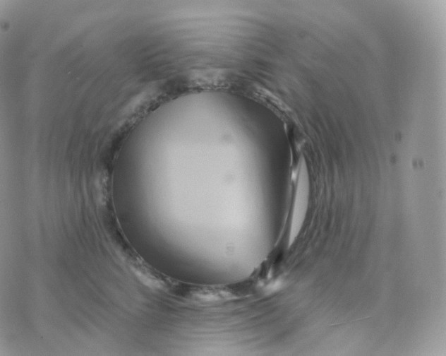 X0000070420712200606302101