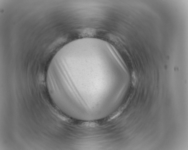 X0000070420714200606302101