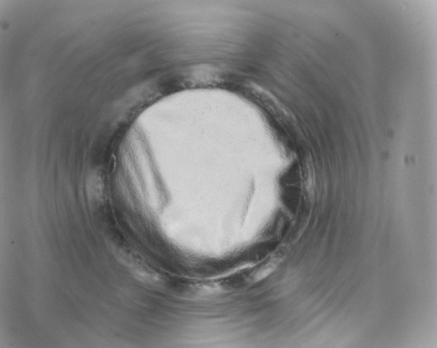 X0000070420715200606302101