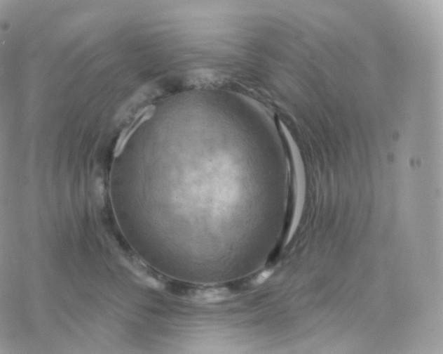 X0000070420716200606302101