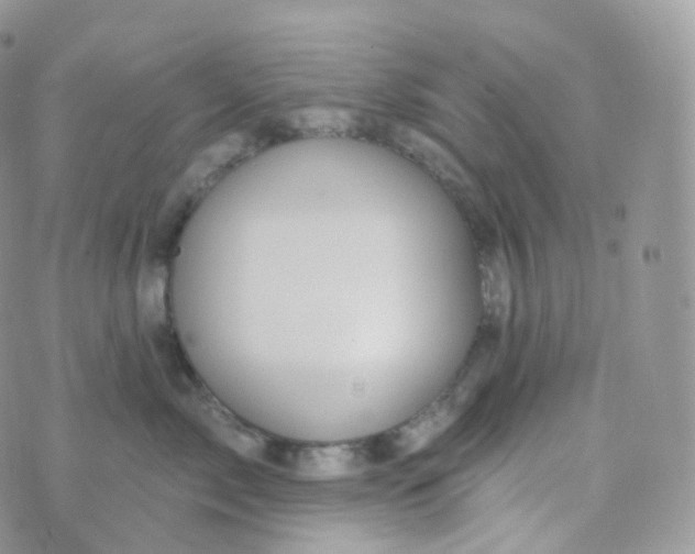 X0000070420717200606302101