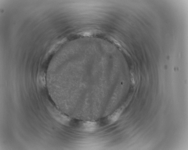 X0000070420718200606302101