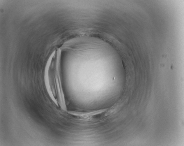 X0000070420720200606302101