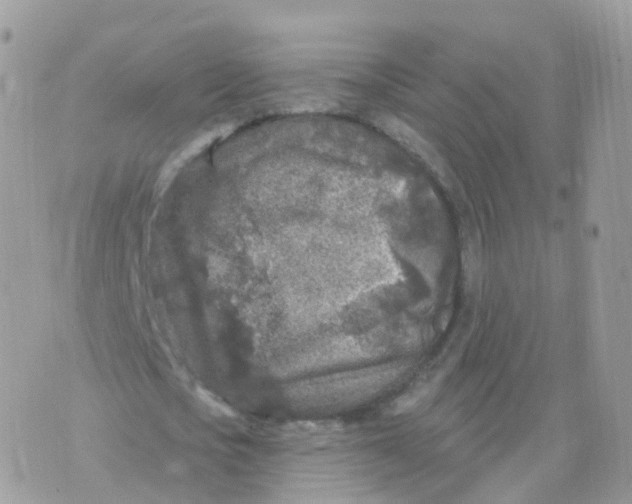 X0000070420721200606302100