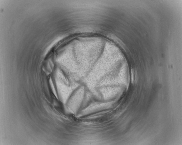 X0000070420723200606302100