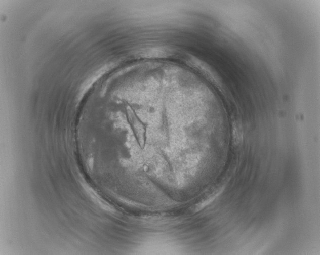 X0000070420725200606302100