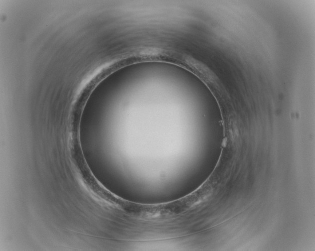 X0000070420728200606302100