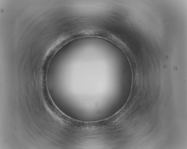 X0000070420730200606302100