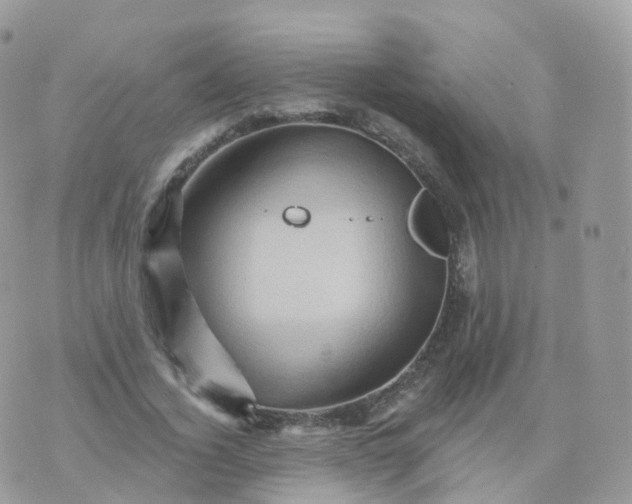 X0000070420732200606302100