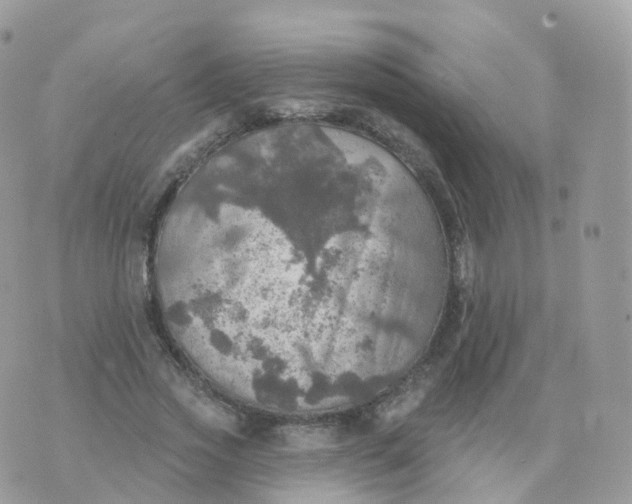 X0000070420733200606302100