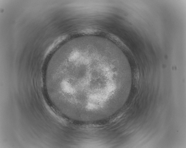 X0000070420734200606302100