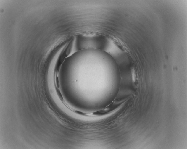 X0000070420735200606302100