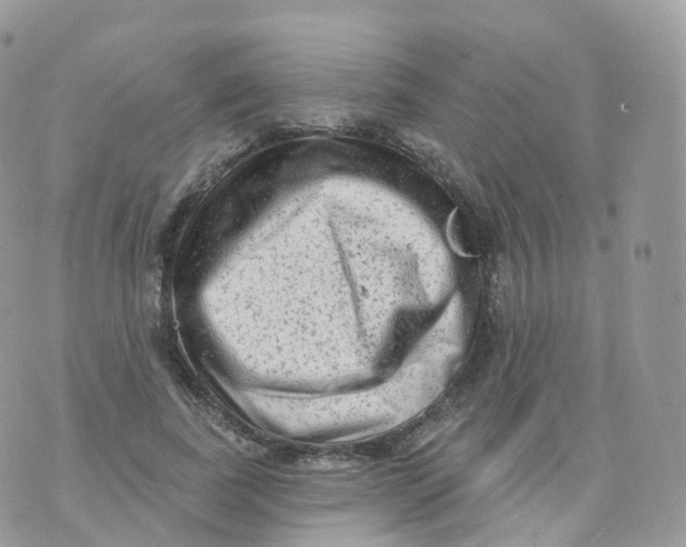 X0000070420739200606302100