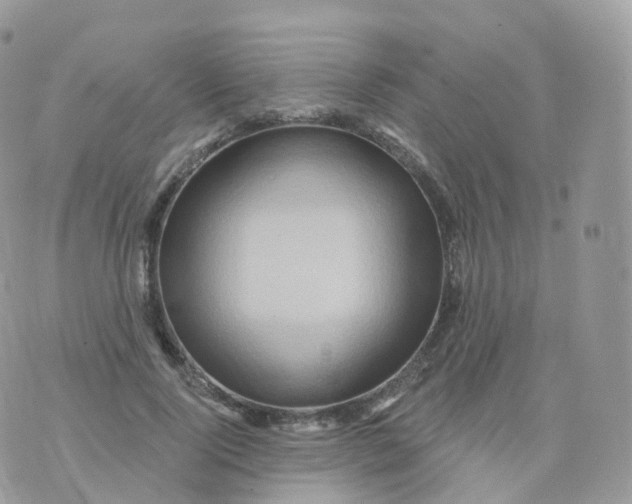 X0000070420740200606302100