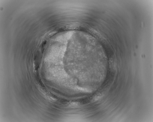 X0000070420741200606302100