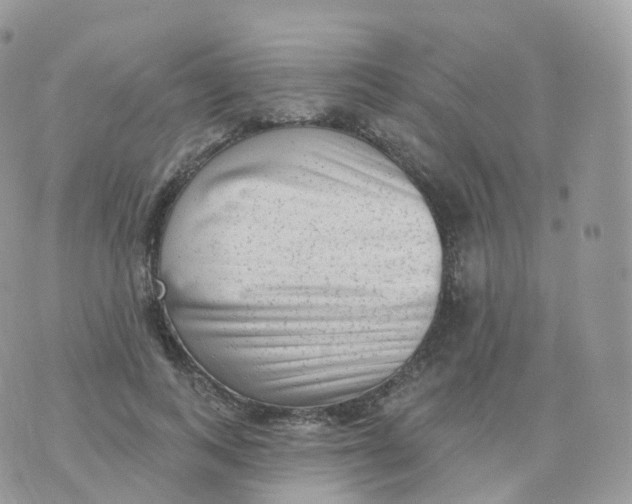 X0000070420743200606302101