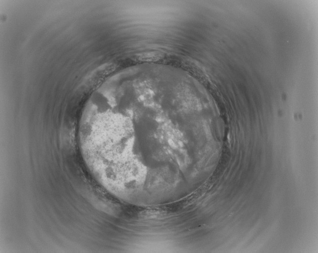 X0000070420745200606302101