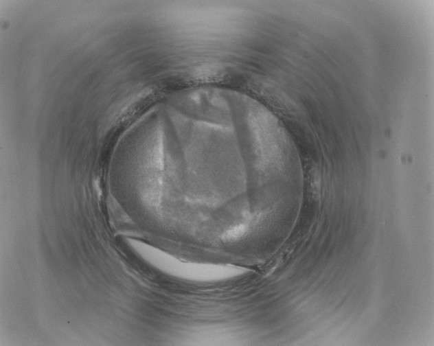 X0000070420746200606302101