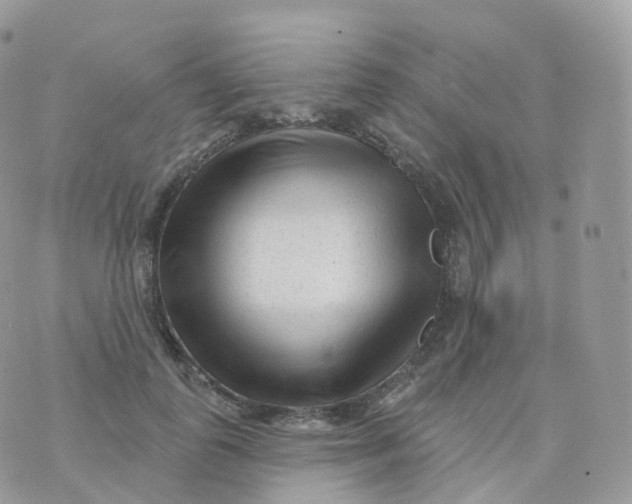 X0000070420747200606302101