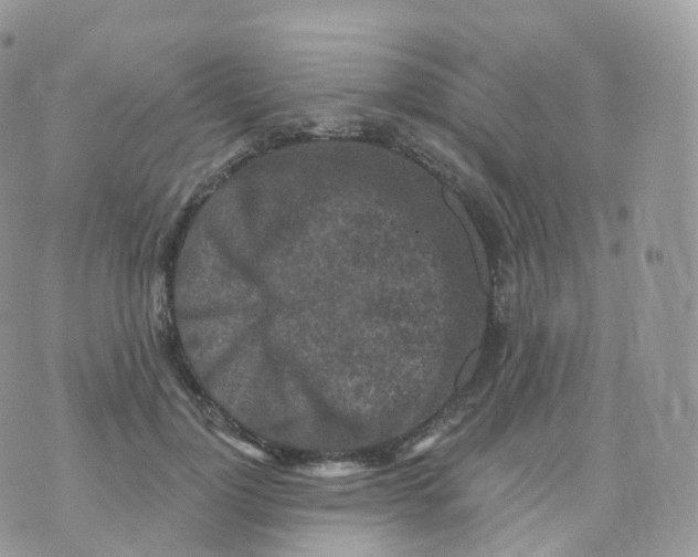 X0000070420748200606302101