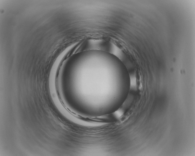 X0000070420750200606302101