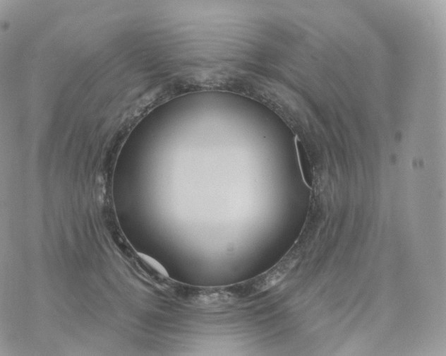 X0000070420752200606302101