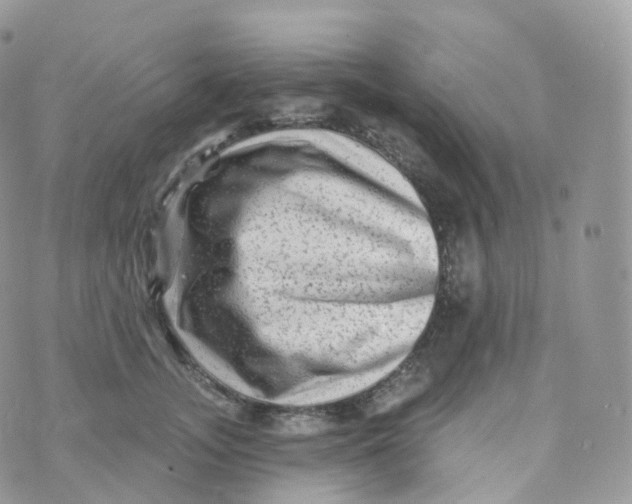 X0000070420755200606302101