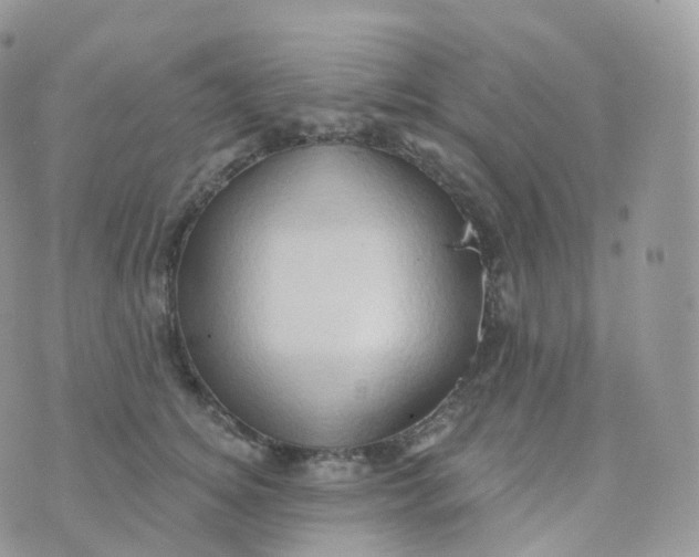 X0000070420756200606302101