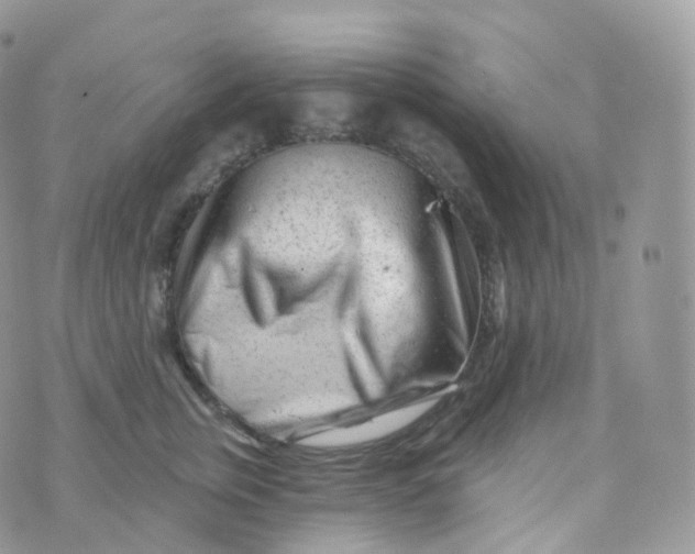 X0000070420759200606302101