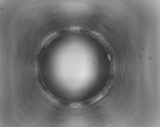 X0000070420762200606302101