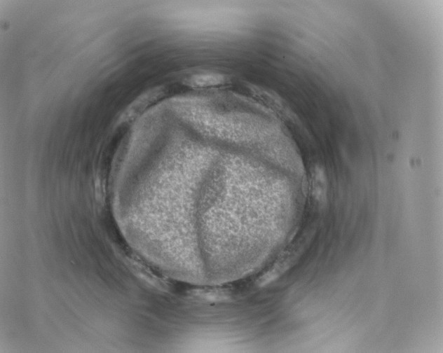 X0000070420763200606302101