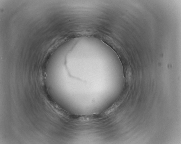 X0000070420764200606302101