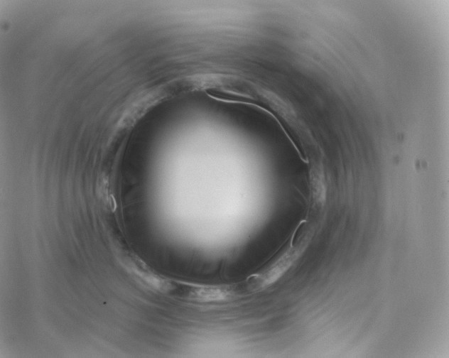 X0000070420766200606302101