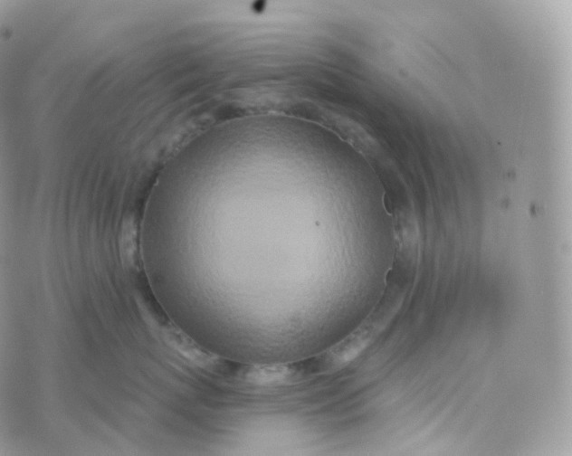 X0000070420767200606302101