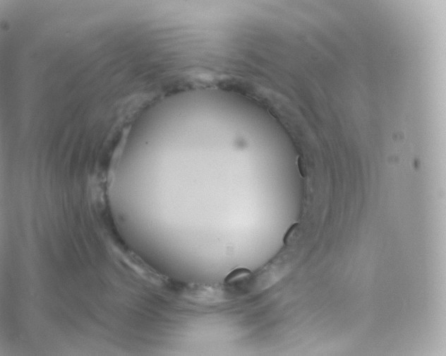 X0000070420768200606302101