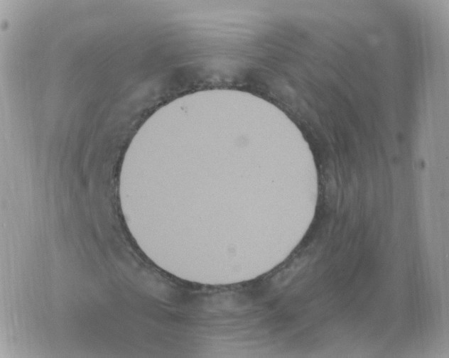 X0000070420769200606302100