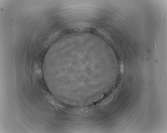 X0000070420771200606302100