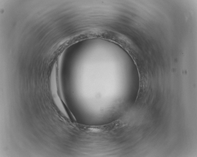 X0000070420773200606302100